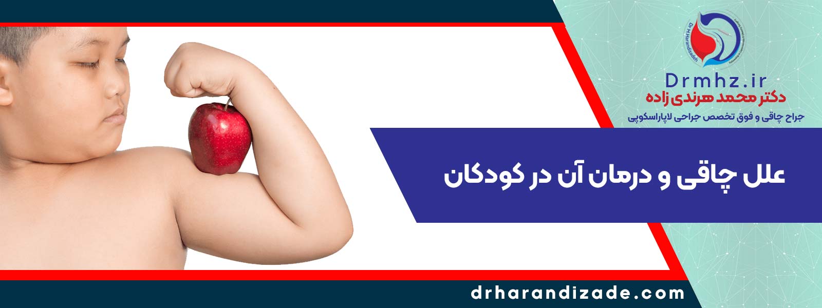 2994 2 obesity خطرات علل اضافه وزن در کودکان و نوجوانان دکتر فوق تخصص چاقی لاغری در تهران اصفهان درمان عوارض چاقی children - 12 عوارض چاقی در کودکان و نوجوانان